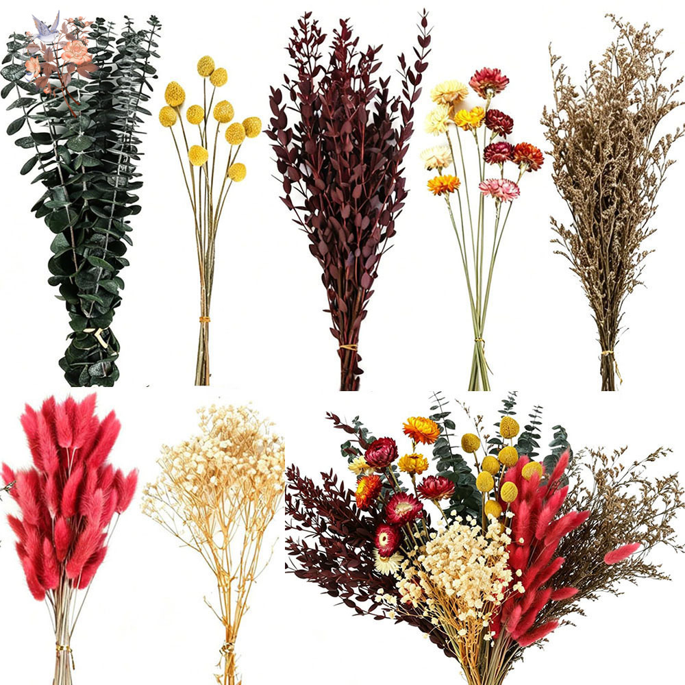 Florist Flower Supply - Set Bunga Kering dalam Jumlah Besar,