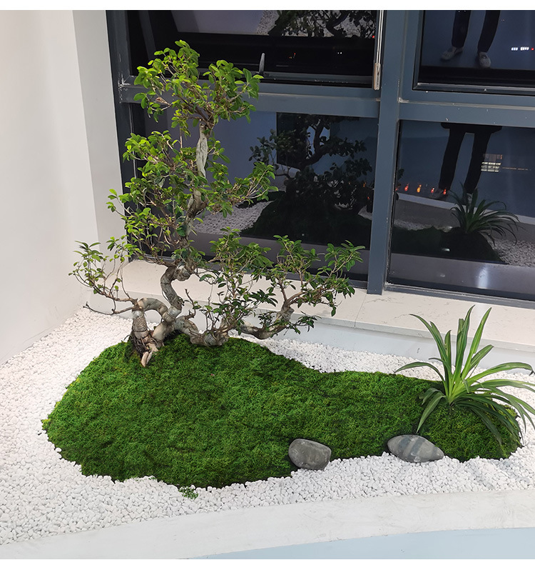 Preserved Moss Sheet - Filamen lumut buatan lumut rumput orang