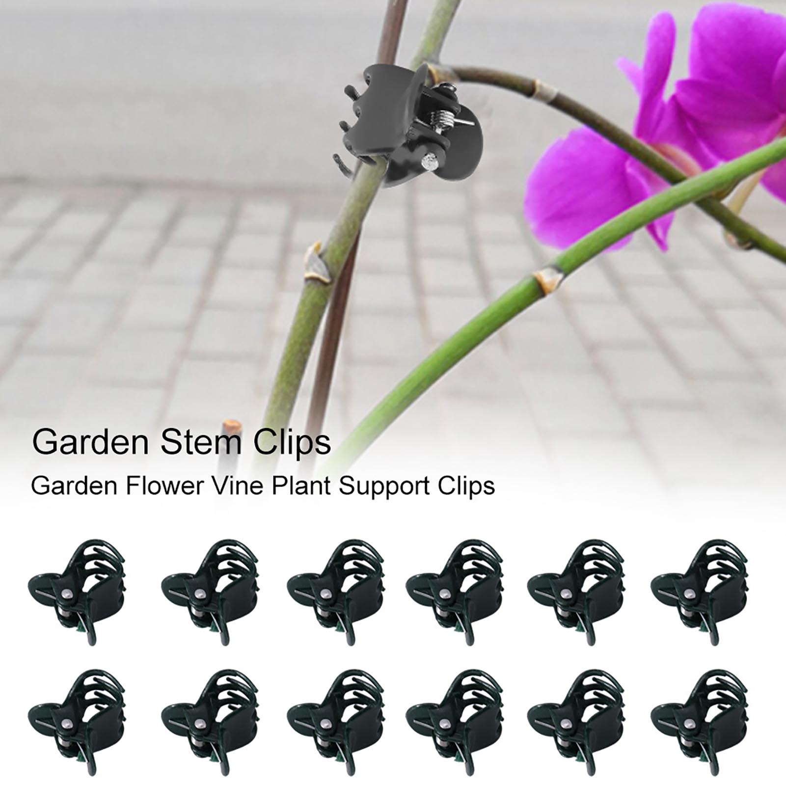 Florist Supply Bulk - Klip Tanaman Mini 100 buah, pendukung