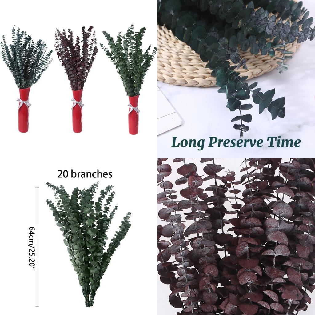 Eucalyptus Preserved - 20 Buah Buket Daun Tanaman Batang