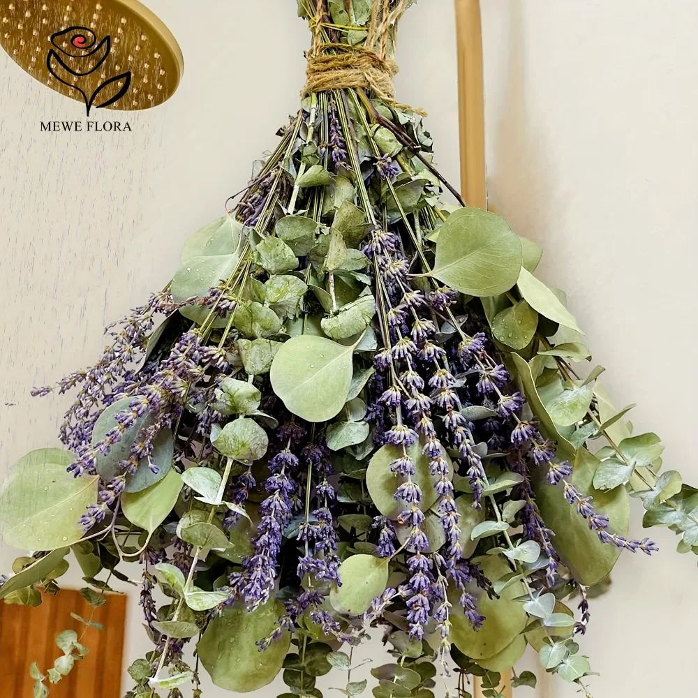 Eucalyptus Preserved - 30 buah bunga kering daun eukaliptus