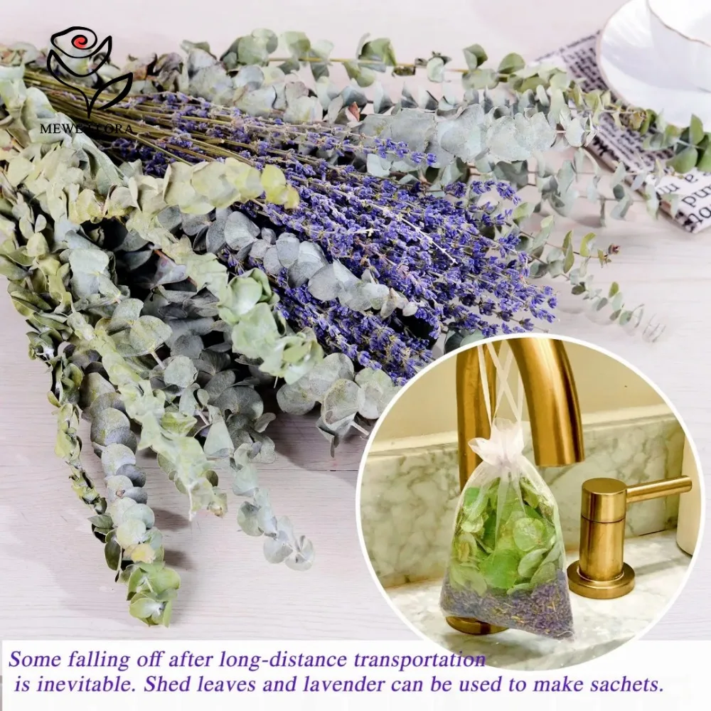 30 buah bunga kering daun euka - Eucalyptus Preserved ulasan dan harga