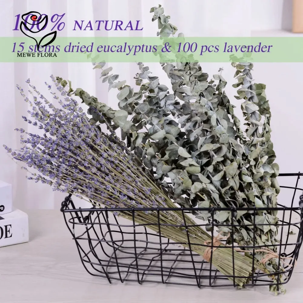 30 buah bunga kering daun euka - Eucalyptus Preserved ulasan dan harga