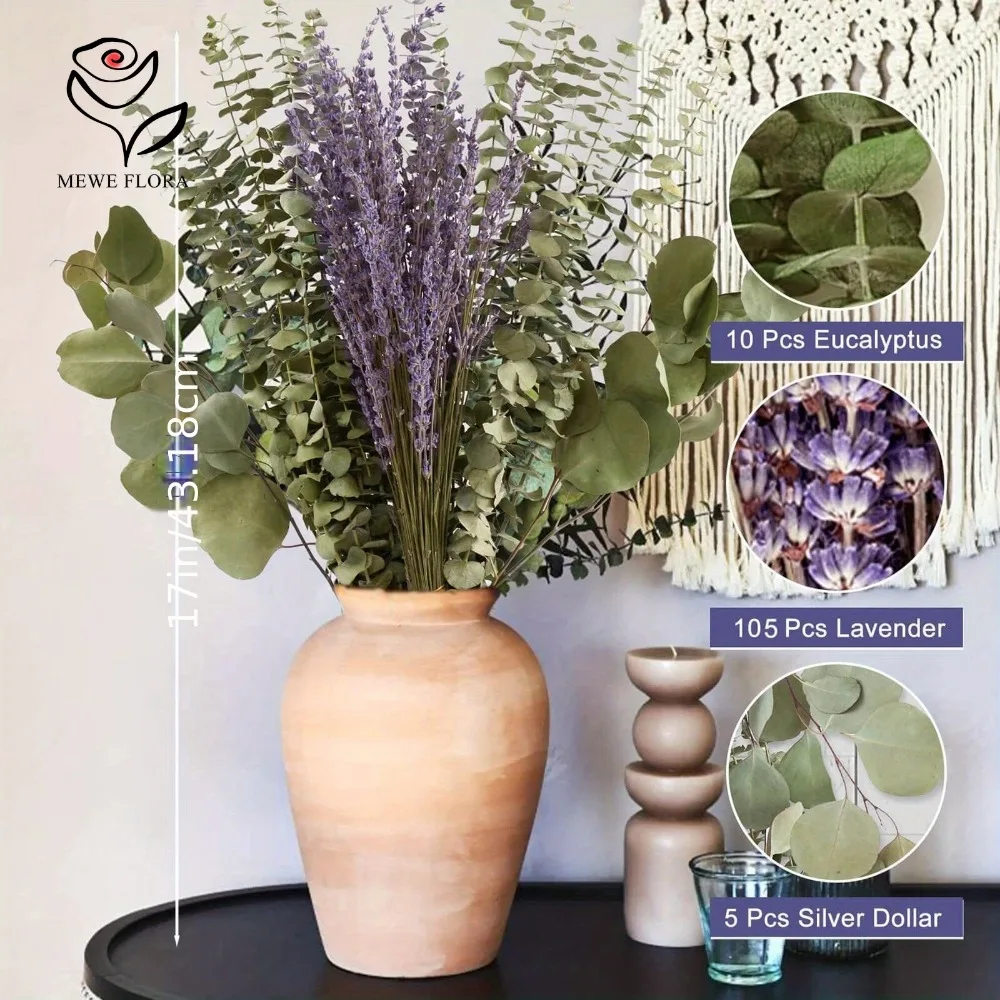 30 buah bunga kering daun euka - Eucalyptus Preserved ulasan dan harga