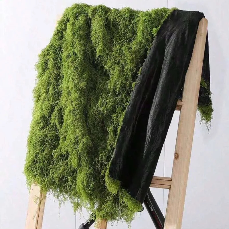 Lumut Buatan untuk Dekorasi La - Preserved Moss Sheet ulasan dan harga