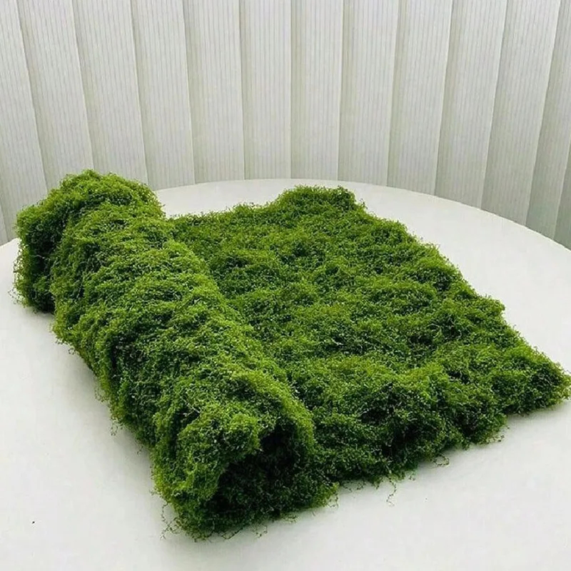 Lumut Buatan untuk Dekorasi La - Preserved Moss Sheet ulasan dan harga