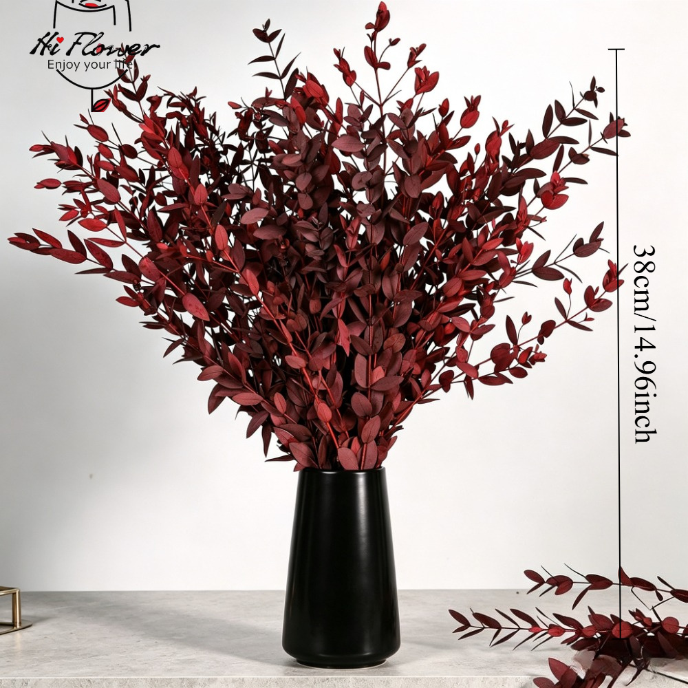 Bunga Kering Alami Buket Eucal - Florist Supply Vases ulasan dan harga